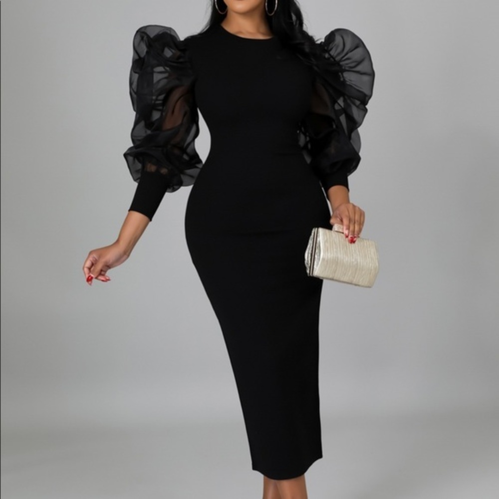 Sheer Puff Sleeve Dress